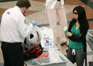 Image: Airport Security