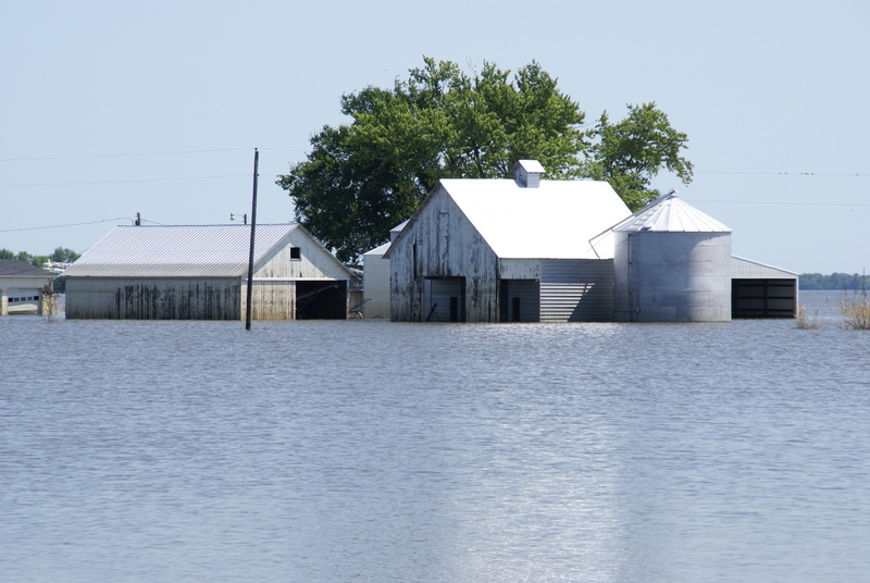Image: Flooded farm